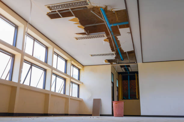 Laguna Beach, FL Water damage restoration Company