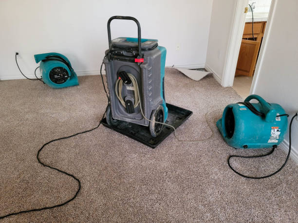 Carpet water damage restoration in Laguna Beach, FL
