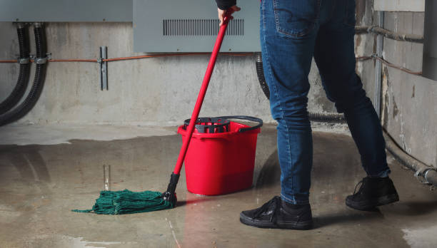 Best Water damage restoration near me  in Laguna Beach, FL