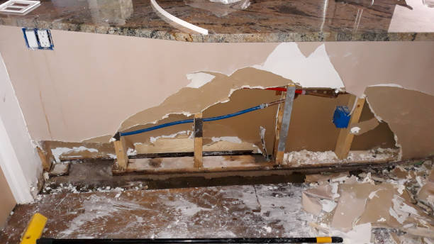 Best Water damage restoration near me  in Laguna Beach, FL
