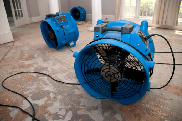 Best Emergency water extraction  in Laguna Beach, FL