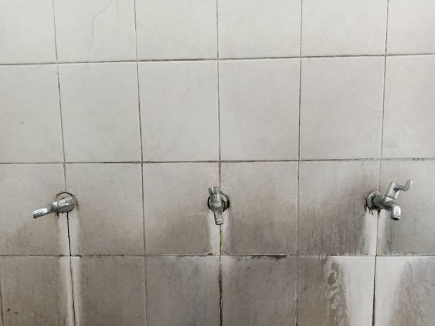 Best Fire Damage Restoration  in Laguna Beach, FL