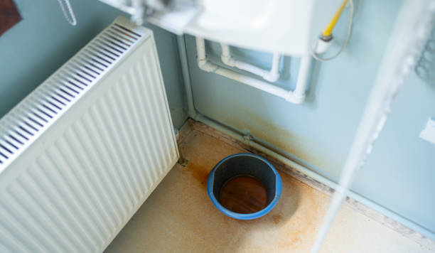 Best Sewage cleanup and water damage restoration  in Laguna Beach, FL