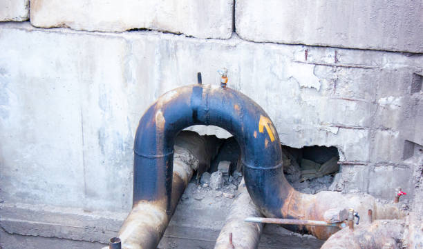 Best Carpet water damage restoration  in Laguna Beach, FL