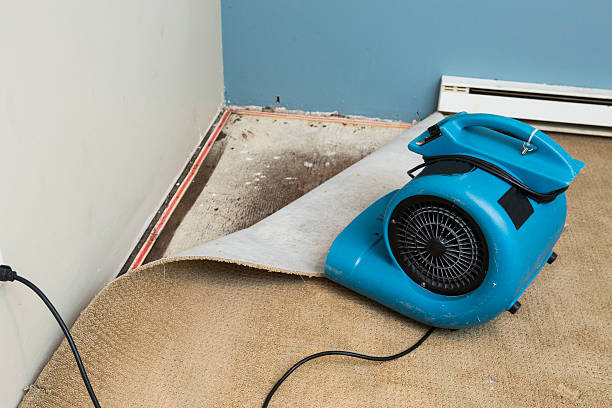 Best Flood restoration services  in Laguna Beach, FL